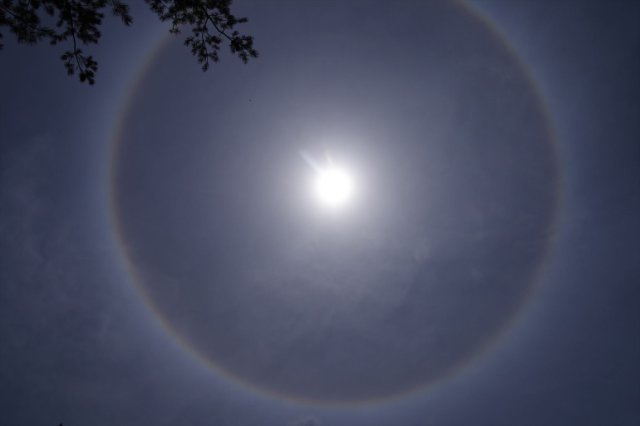 IMGP9258_R