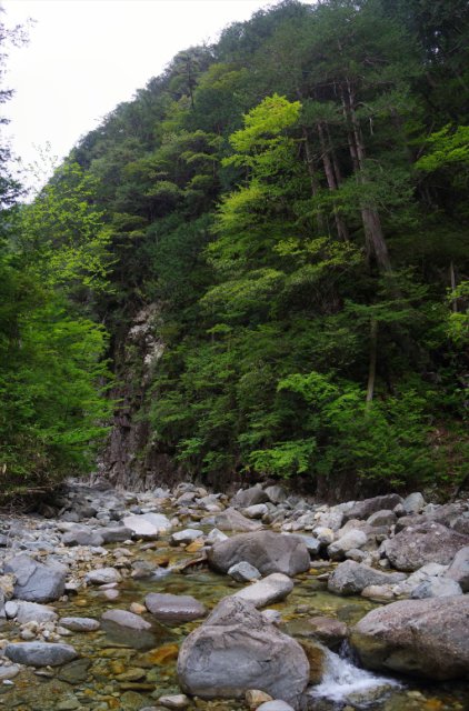 IMGP9417_stitch_R