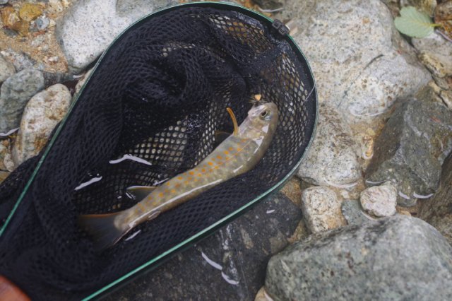 IMGP9494_R