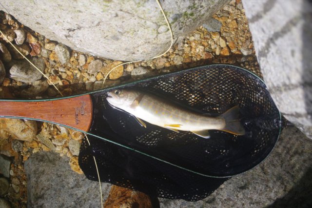 IMGP9593_R