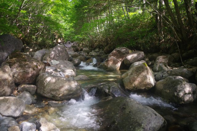 IMGP9594_R