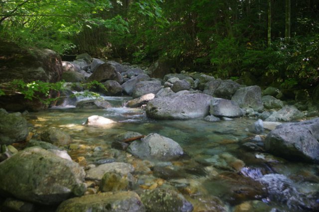 IMGP9604_R