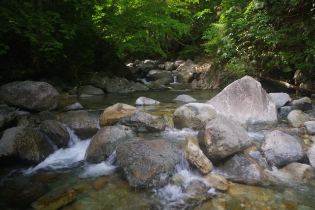 IMGP9634_R