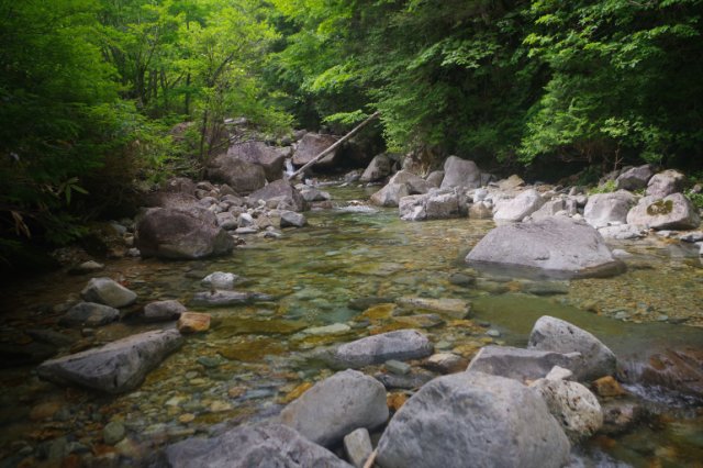 IMGP9681_R