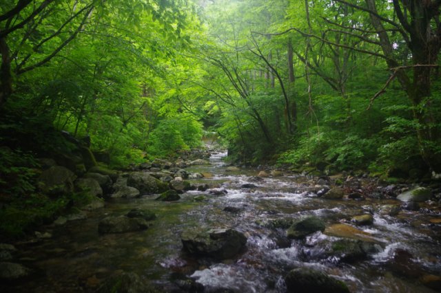 IMGP9705_R