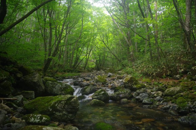 IMGP9835_R