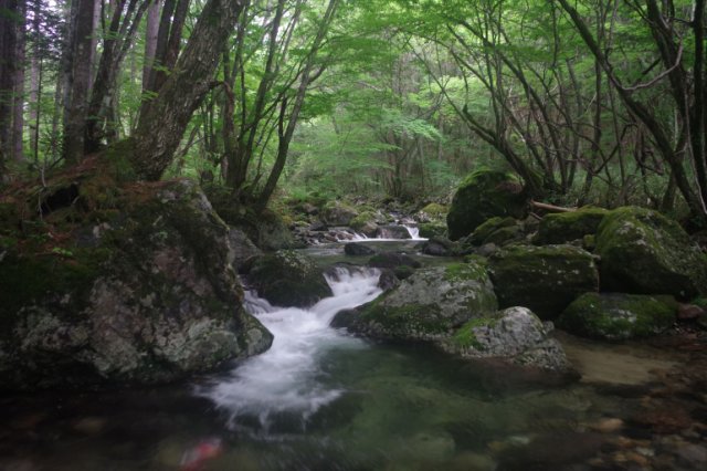 IMGP9865_R