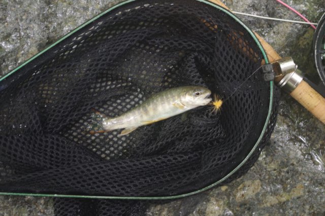 IMGP9913_R