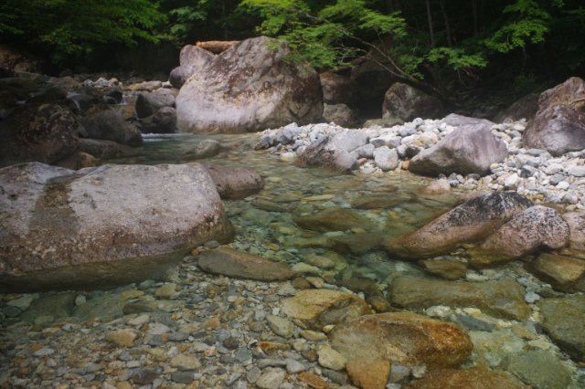 IMGP9942_R