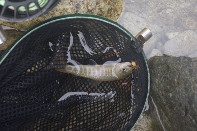 IMGP9977_R