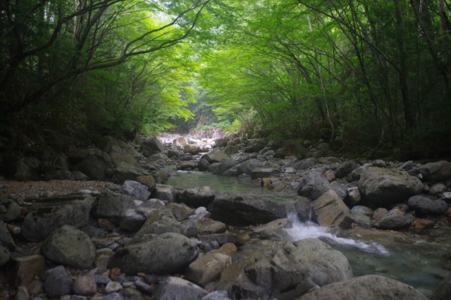 IMGP9980_R