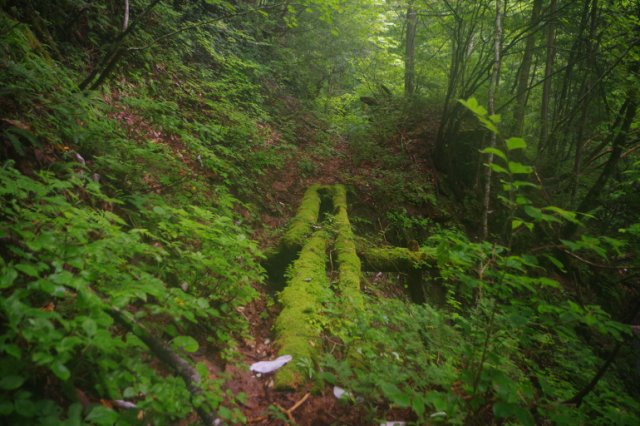 IMGP0089_R