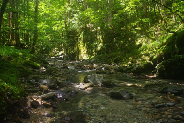 IMGP0091_R