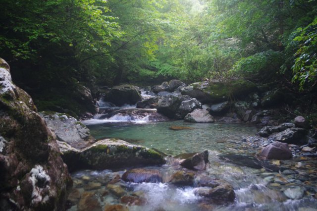 IMGP0187_R