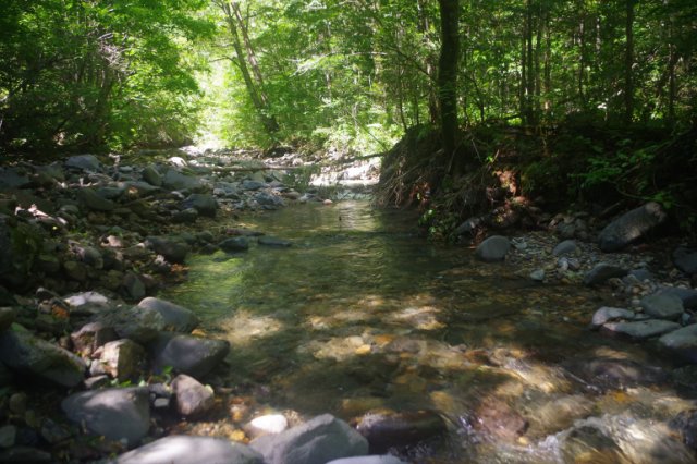 IMGP0394_R