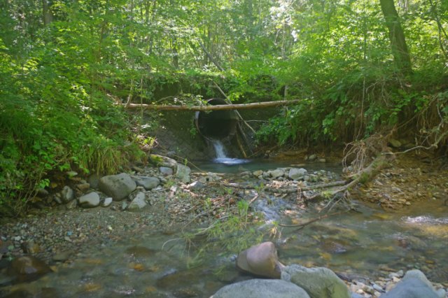 IMGP0420_R