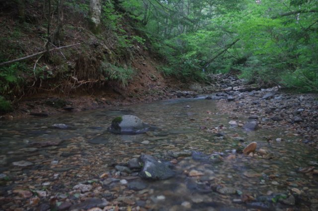 IMGP0512_R