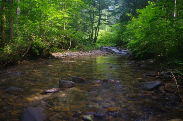 IMGP0638_R