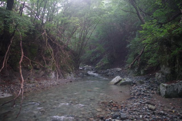 IMGP0802_R