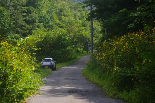 IMGP0867_R