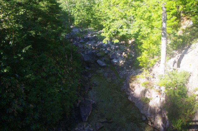 IMGP0882_R