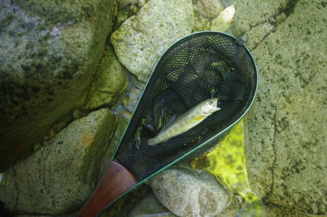 IMGP0928_R
