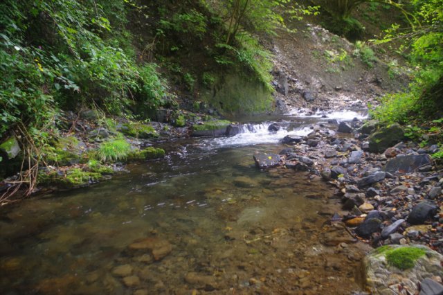 IMGP1121_R