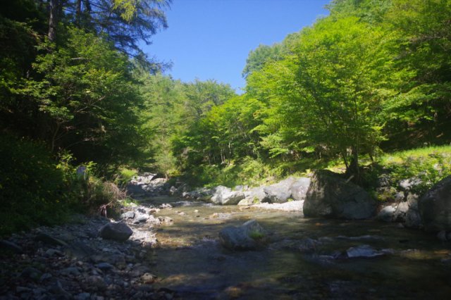 IMGP1125_R
