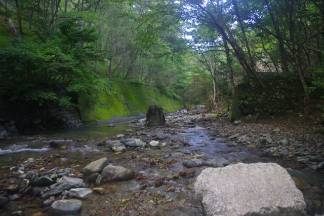 IMGP1141_R