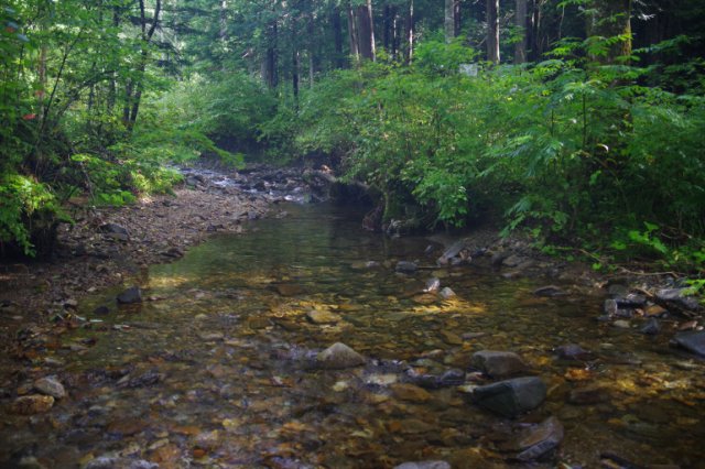 IMGP1182_R