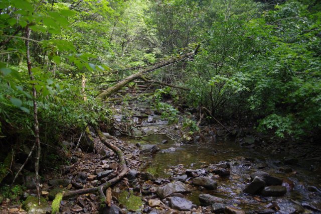 IMGP1237_R