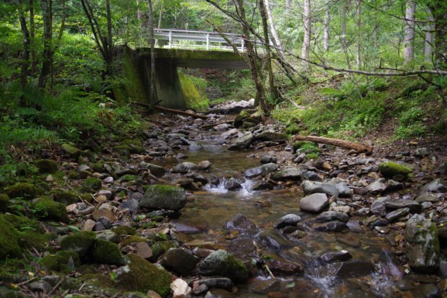 IMGP1266_R