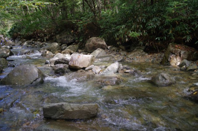 IMGP1406_R