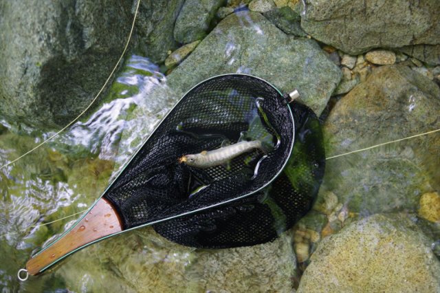 IMGP1407_R