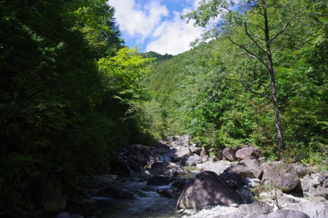 IMGP1441_R