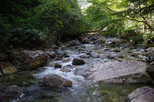 IMGP1527_R