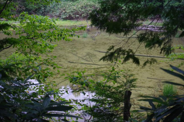 IMGP1573_R