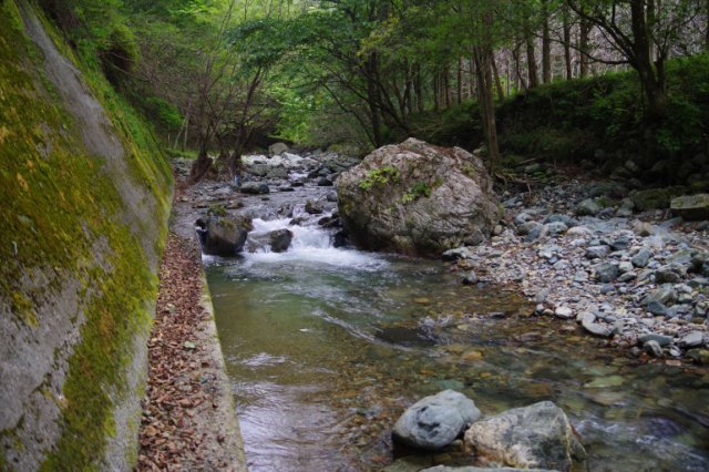 IMGP1728_R