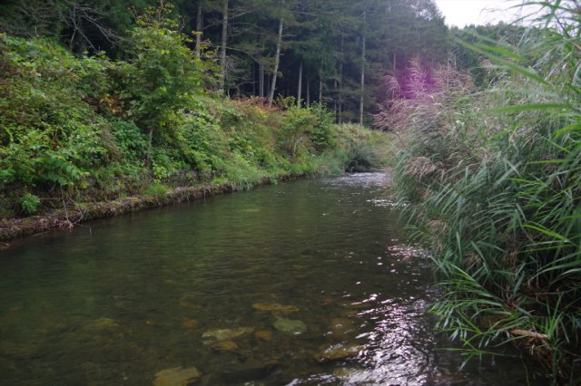 IMGP1741_R