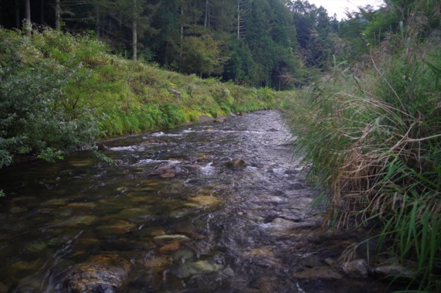 IMGP1745_R