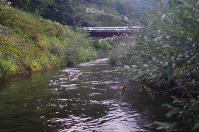 IMGP1747_R