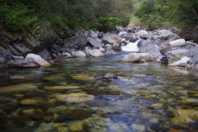 IMGP2034_R