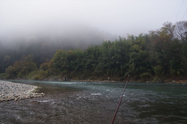 IMGP2287_R