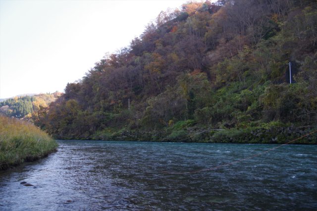 IMGP2296_R