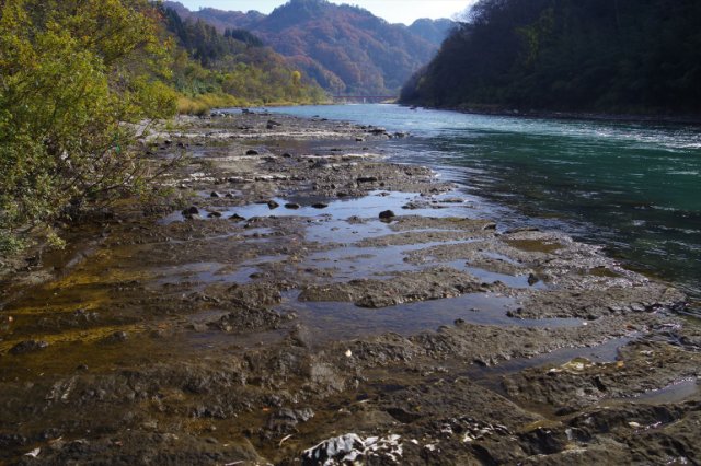 IMGP2376_R