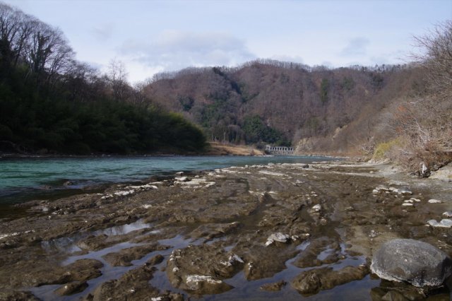 IMGP2692_R