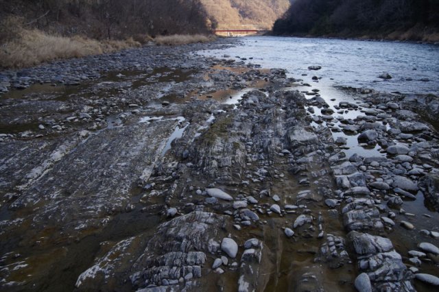 IMGP2933_R