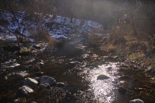 IMGP3011_R