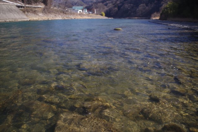 IMGP3070_R
