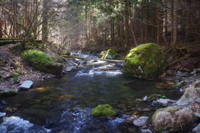 IMGP3174_R